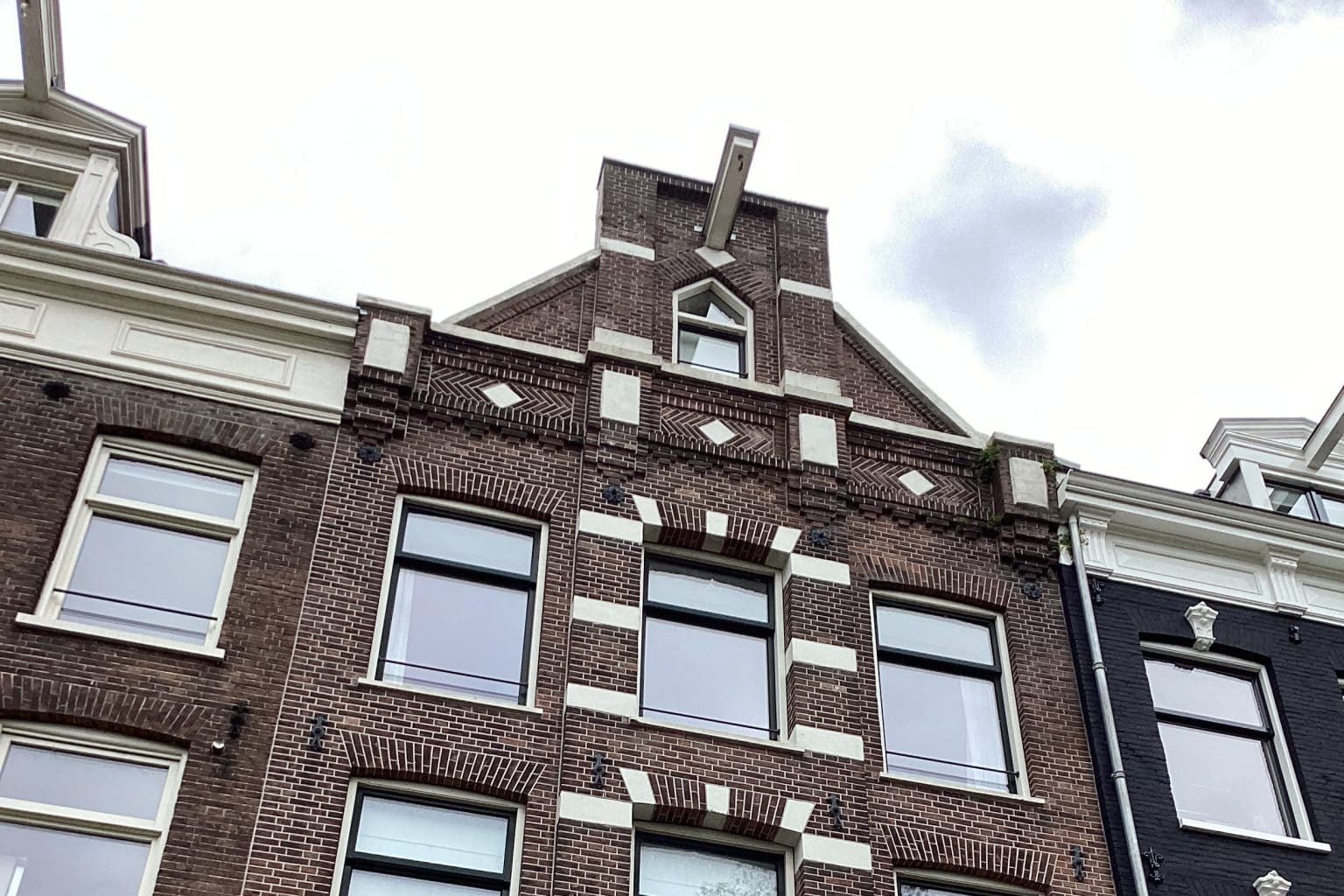 Actueel - Ecologisch advies bij bouwwerkzaamheden - afb2