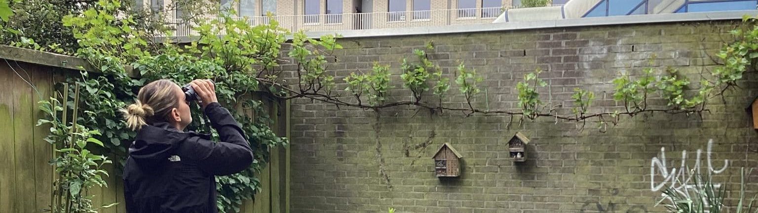 Ecologisch advies bij bouwwerkzaamheden